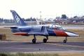 Nicely painted L-39 on a taxiway.