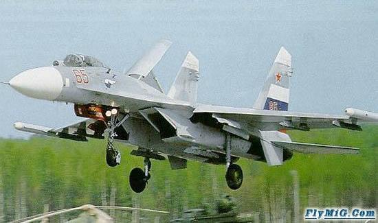 http://www.flymig.com/aircraft/Su-27/8.jpg