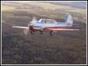 Joy ride in Yak-52