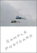 Martlets Sample Postcard